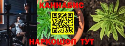 прущие грибы Аргун