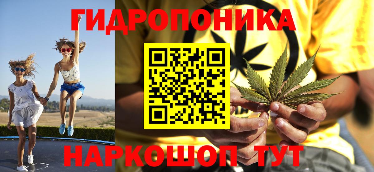 Гатчина  Марихуана конопля  Шишки марихуана Bruce Banner  Вход с VPN  Канабис White Widow  Бошки Шишки тримм 